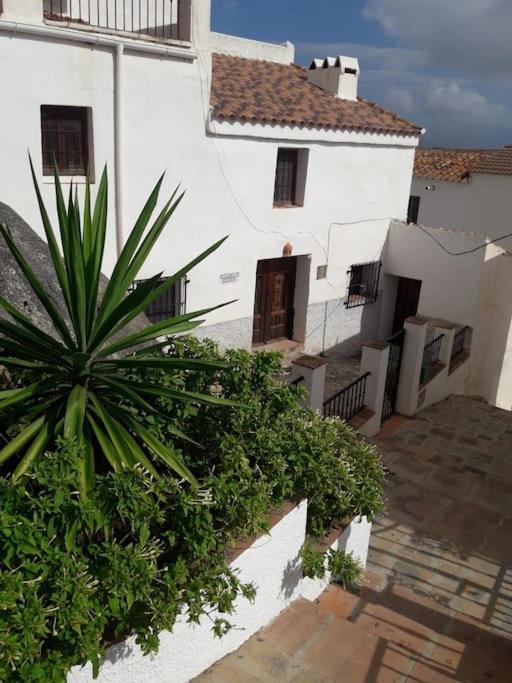 Casa Sin Numero, An Authentic Ferienhaus